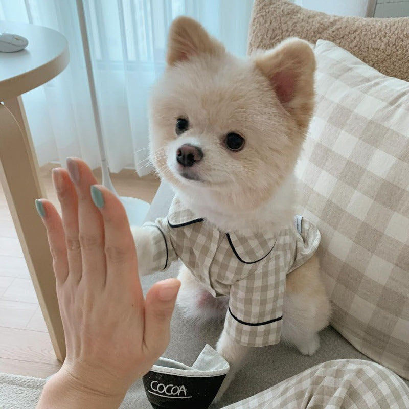 Pigiamino Coreano
