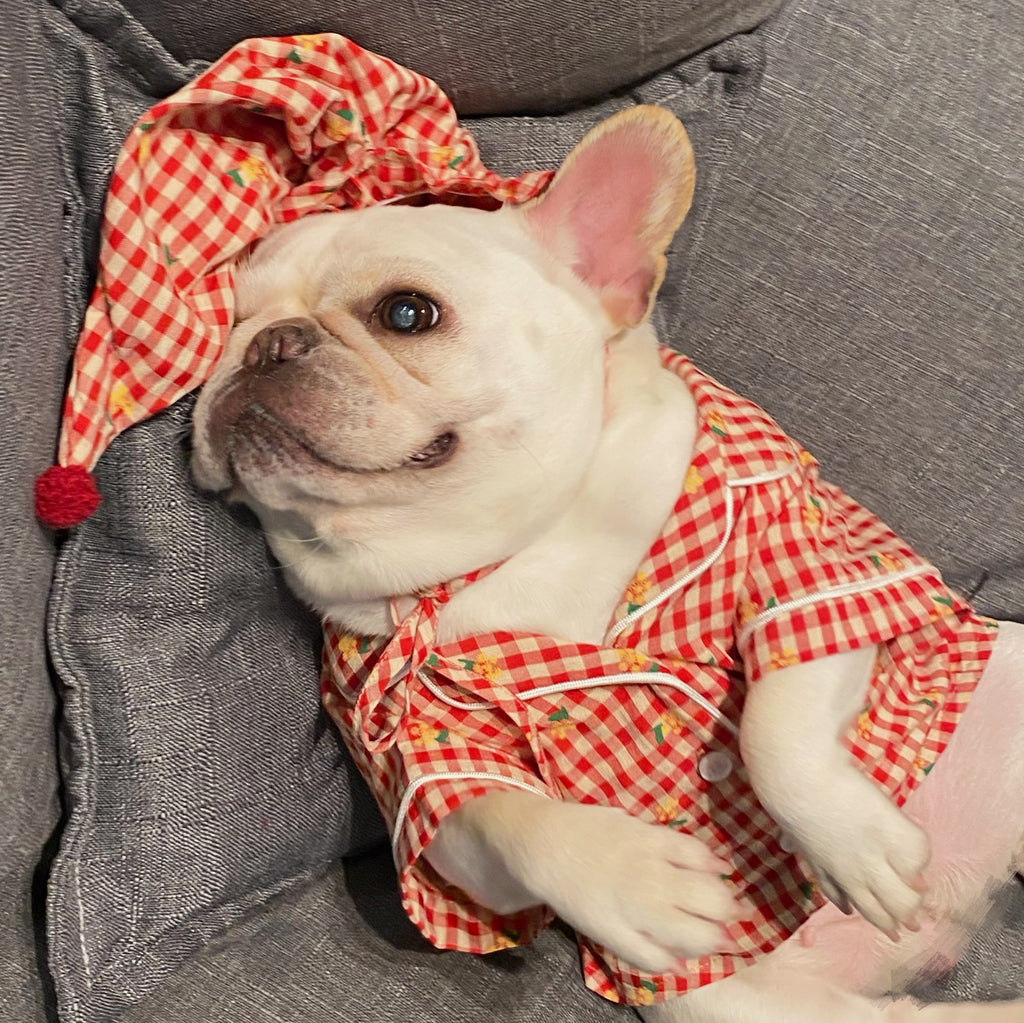 Pigiama pupillo