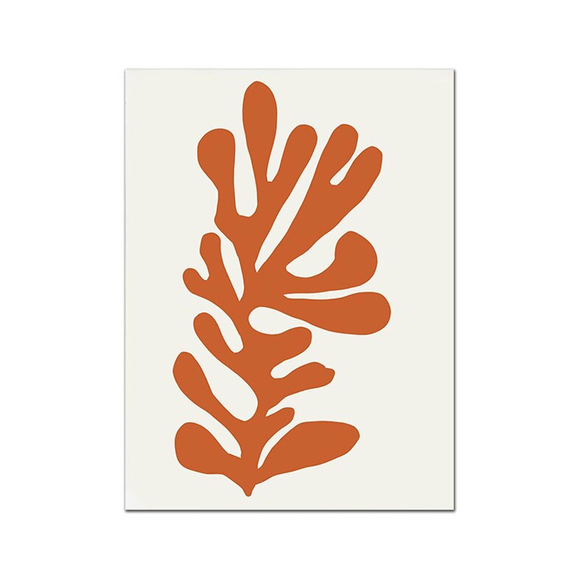 Legame Matisse -Sintesi-